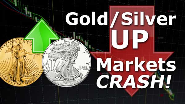 Metals Rise & Market Crash Only to Accelerate from Here!