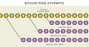Keeping Up With Bitcoin’s Hard Forks! How Many Versions of Bitcoin Do We Need?