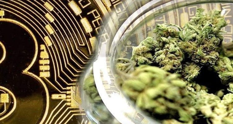Will Marijuana Cryptos Have a Positive Impact?
