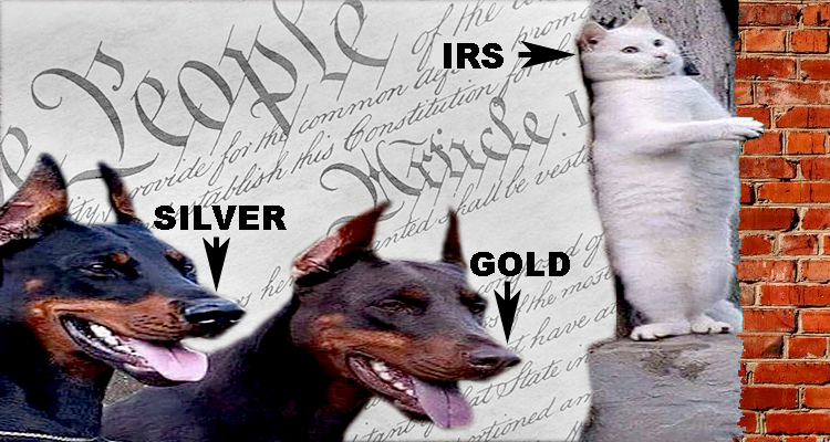 Gold and Silver Returning to Constitutional Status across the U.S. – Part 2