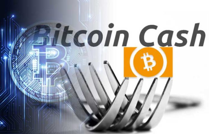 Forking the Fork – Bitcoin Cash Drama Intensifies Over Looming Hard Fork, Will It Survive?