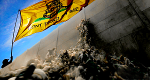 The Natives are Restless for “Birthright” Jurisprudence - “Don’t Tread On Me”