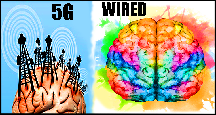 Your World and Brain on 5G