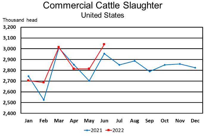 Commercial Cattle Slaughter July 2022