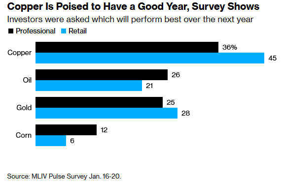 Bloomberg Survey Results of Copper Investor - Jan. 2023