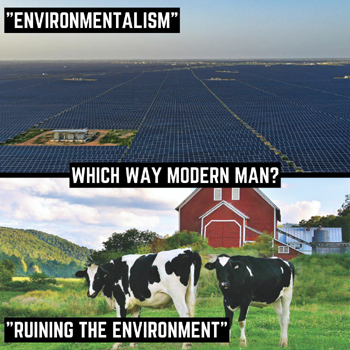 Cow Pastures vs. Solar Farms