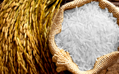 A Shortage of White Rice is Imminent